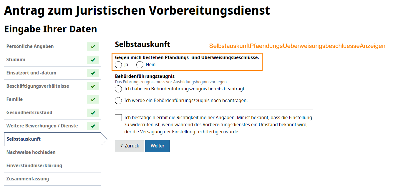 Selbstauskunft 2